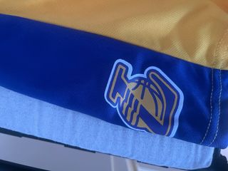 Camiseta i pantalon Lakers 23 JAMES niño 13/14