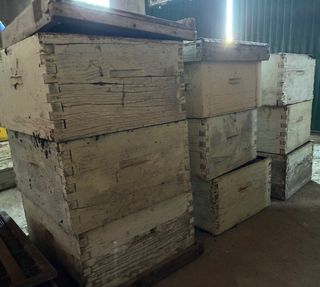 Colmena Langstroth / Perfección