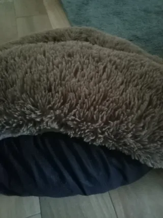 Cama ortopédica para perro