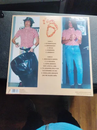 Vinilo Rock Transgresivo