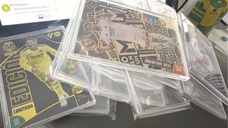 10 Protectores Acrílicos Adrenalyn Alta Calidad