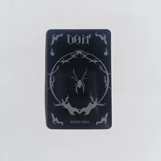 Photocard Bang Chan DOIT