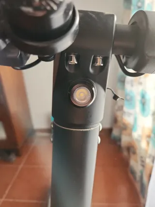 Patinete eléctrico Ridgeway