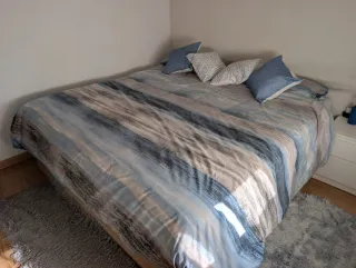 Cama 200x200 (Canapé y Colchón)