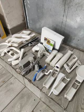 Nintendo Wii Accessori Vari
