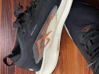 Nike Pegasus Trail 5 GORE-TEX