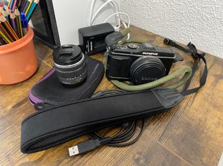 Olympus E-P3 + Lumix 14-42mm Micro 4/3