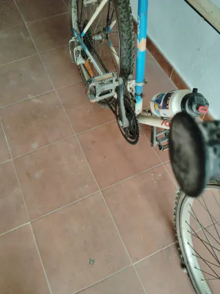 Bicicleta Montaña Antigua