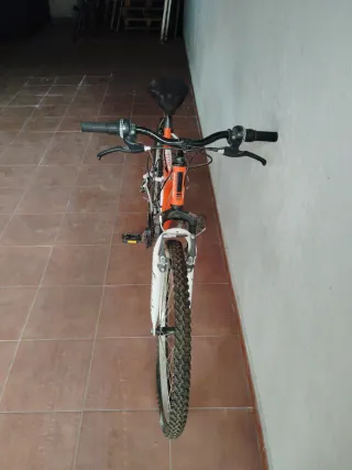 Bicicleta Montaña Freerider Naranja