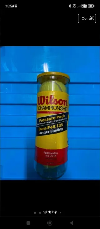 Raqueta de tenis (Snauwaert) y pelotas