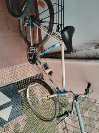 Lote 5 bicicletas, algunas antiguas