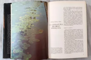 Historia de Andalucía. 8 Tomos.