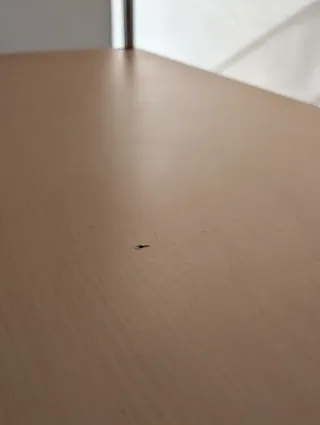 Mesa alta con 2 taburetes