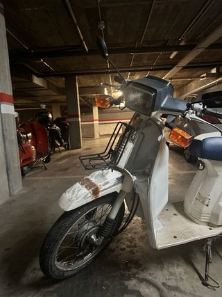 Honda Scoopy Moto Scooter