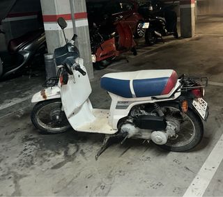 Honda Scoopy Moto Scooter