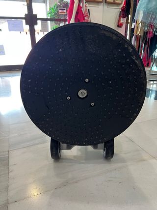 Pulidora Abrillantadora Profesional