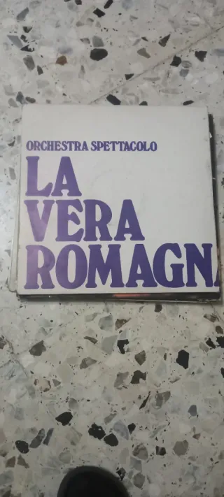 Dischi in vinile vari generi