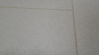 Gres porcelánico ROCA HOTEL BEIGE R