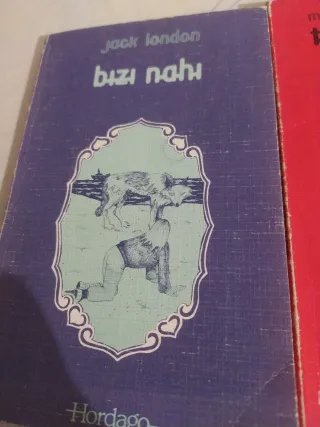 Bizi nahi, Tom sawyerren abenturak lau