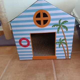 Accesorios para gato: casa, rascador, bebedero