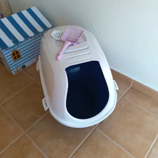 Accesorios para gato: casa, rascador, bebedero