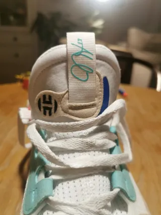 Adidas Harden Vol. 5 Boost Multicor