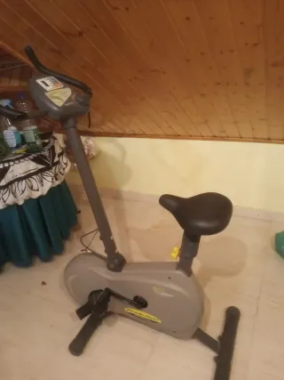 Bicicleta Estática Gris