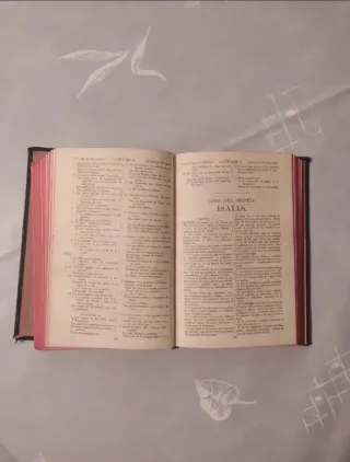 Biblia antigua 1923