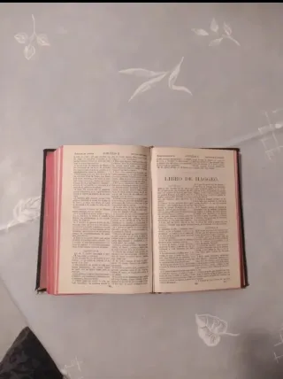 Biblia antigua 1923