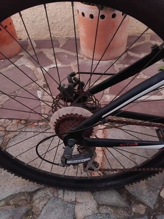 Bicicleta de Montaña