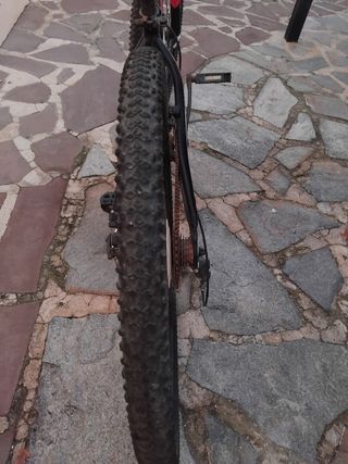 Bicicleta de Montaña