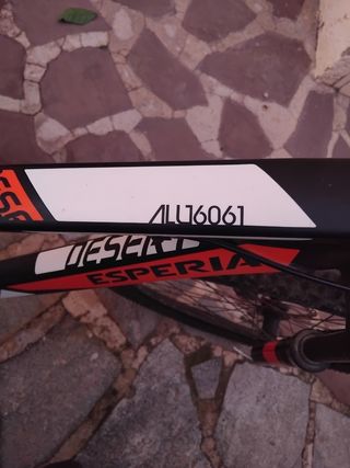 Bicicleta de Montaña