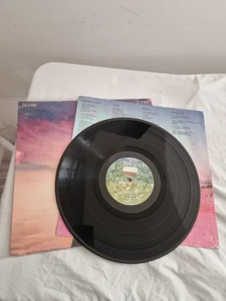 Califone Stitches Vinile Perfetto