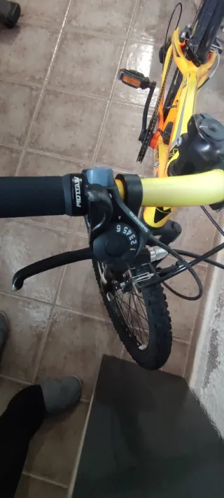 Bicicleta Monty Rueda 20 Naranja