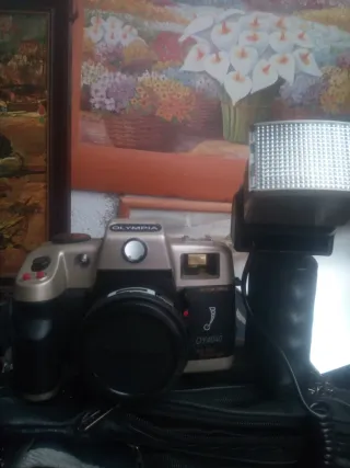 Cámara Olympus Antigua + Flash