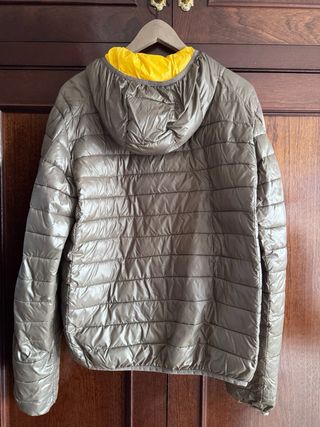 Plumifero Kylarny marrón y amarillo