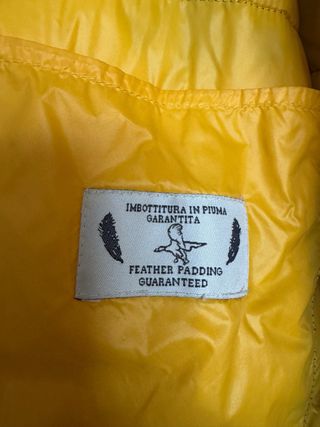 Plumifero Kylarny marrón y amarillo