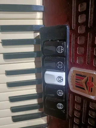 Acordeón rojo con funda