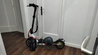 SmartGyro Z-One Red Certificada