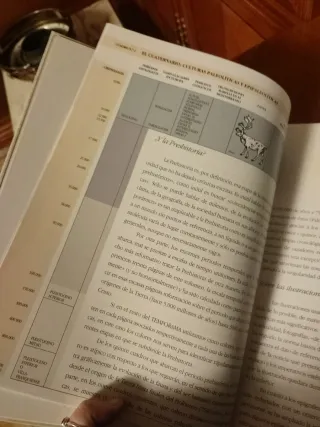 Libros Tempo Rama de la Historia Universal