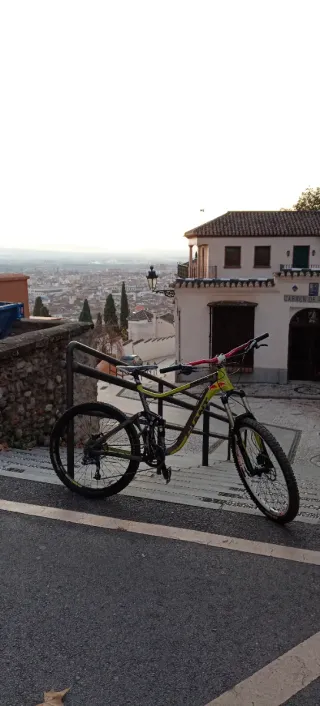 Bicicleta Giant Reign Talla L