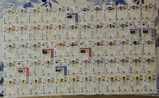 Cromos Fútbol Panini MGK Temporada 25