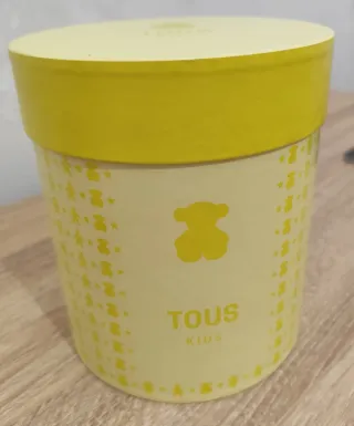 ‼️ NO NEGOCIABLE ‼️ Caja de almacenamiento Tous