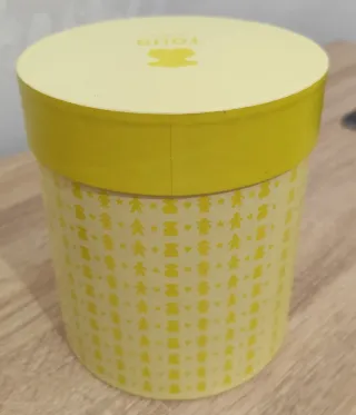 ‼️ NO NEGOCIABLE ‼️ Caja de almacenamiento Tous