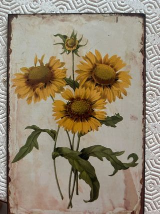 Stampe decorative su metallo