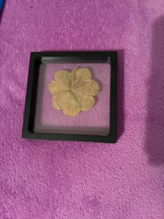 Trébol de 4 hojas enmarcado