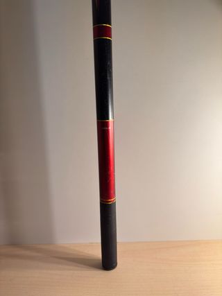 Caña de pesca Daiwa (fija)