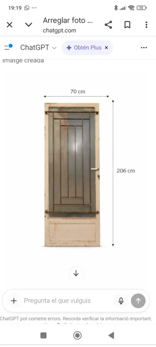 Puerta hierro y cristal 70x206 cm