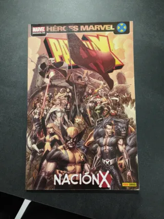 Patrulla X, Nacion X