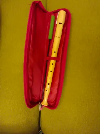Flauta dulce Hohner con funda